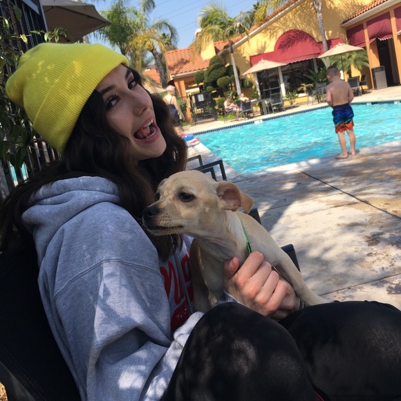 Meet your Posher, Jayden - Picture 1 of 3